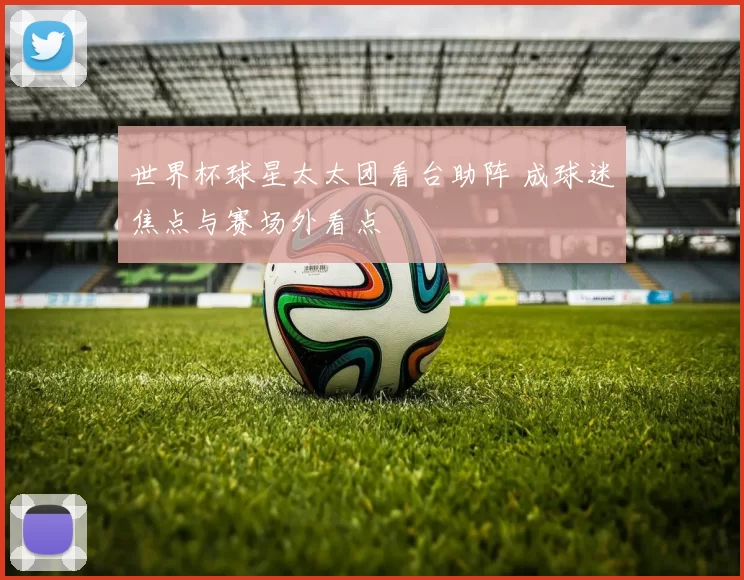 世界杯球星太太团看台助阵 成球迷焦点与赛场外看点