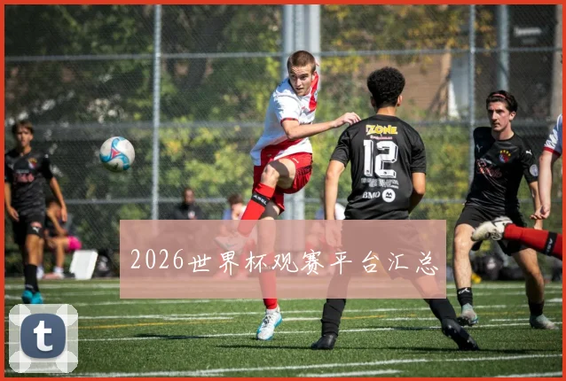 2026世界杯观赛平台汇总